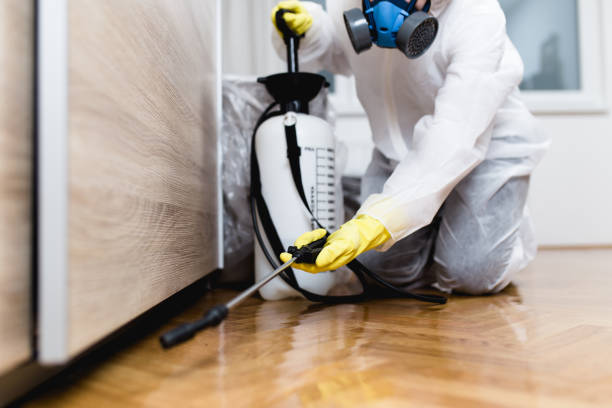 Best Insect Control  in Bulverde, TX