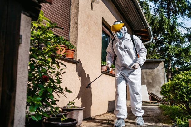 Bird Control in Bulverde, TX