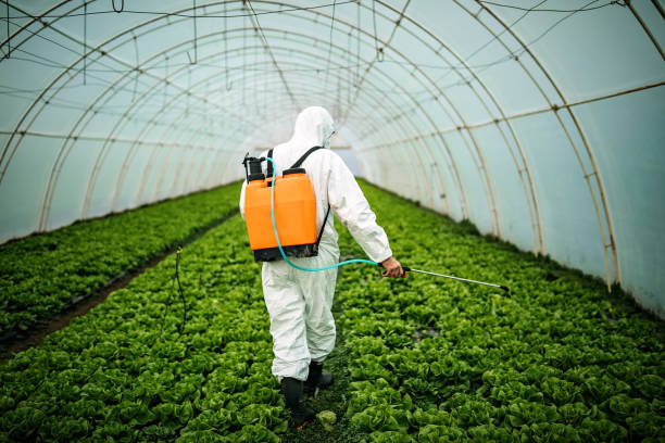 Best Pest Inspection Near Me  in Bulverde, TX