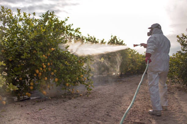 Best Pest Control for Businesses  in Bulverde, TX